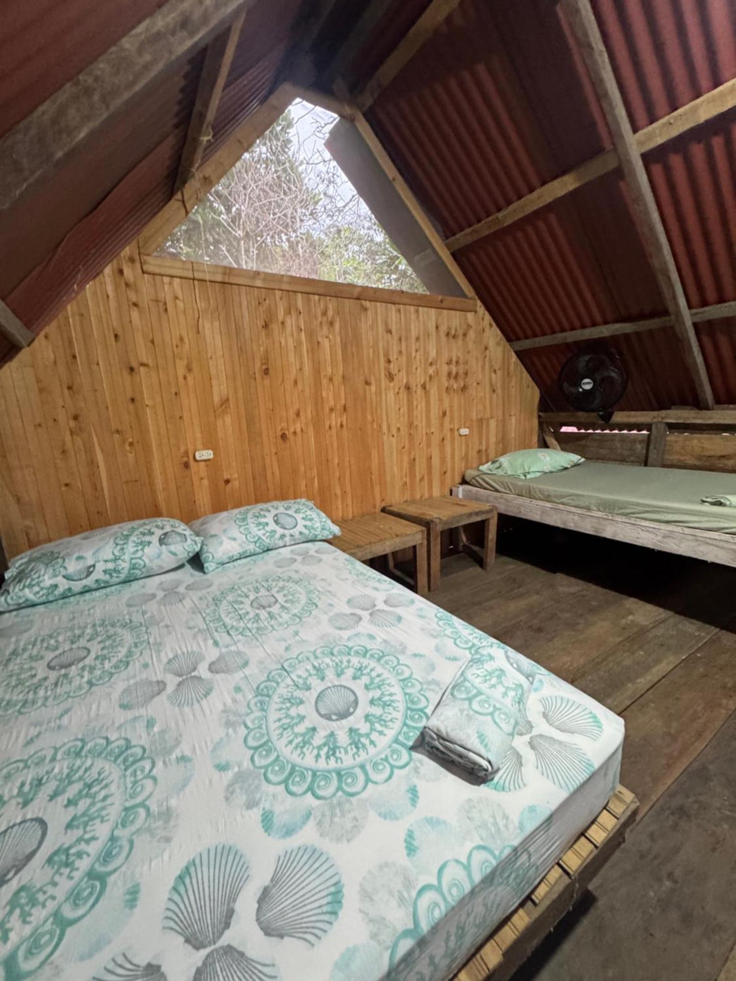 فندق Surf House Estilo Libre بوينافينتورا المظهر الخارجي الصورة