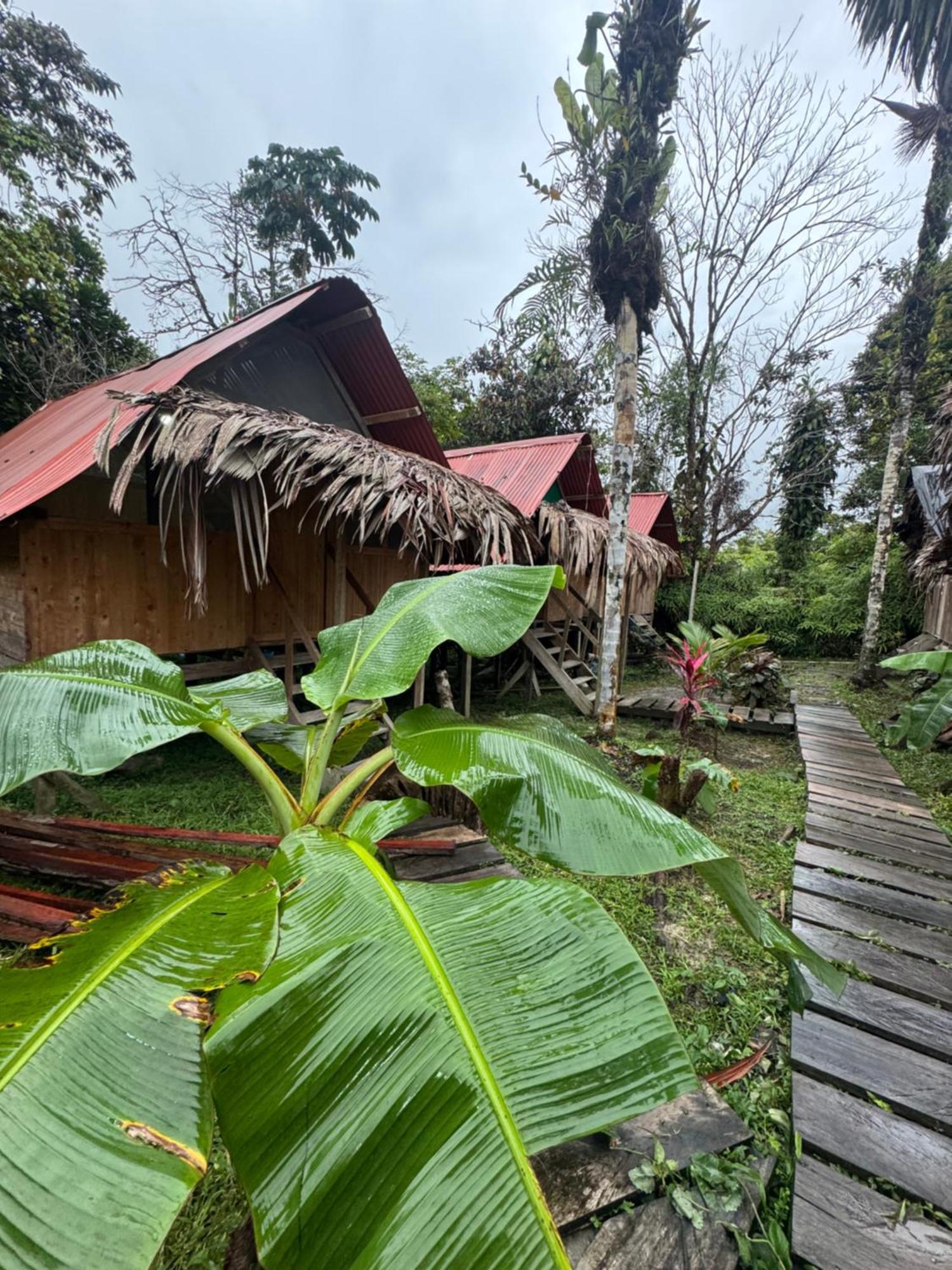 فندق Surf House Estilo Libre بوينافينتورا المظهر الخارجي الصورة